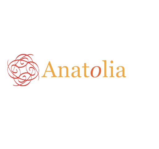 Lidmaatschap Anatolia Alumni